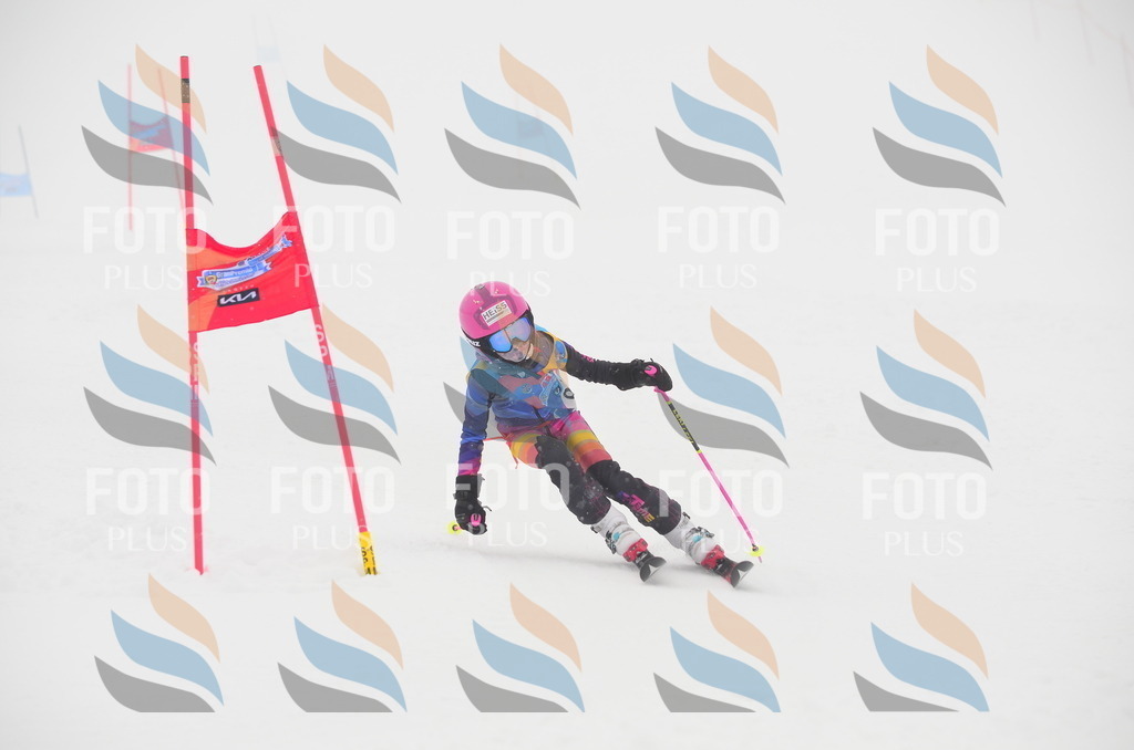 C1299 | holidayphoto