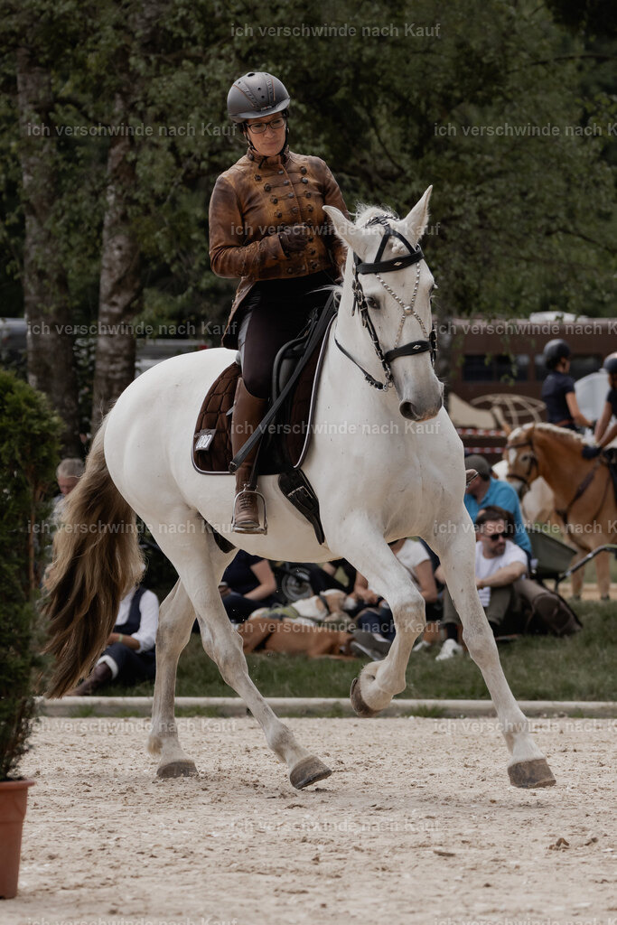 WE_ST_Stoib_347_PI2025_1041 | Pferd International München 2025
