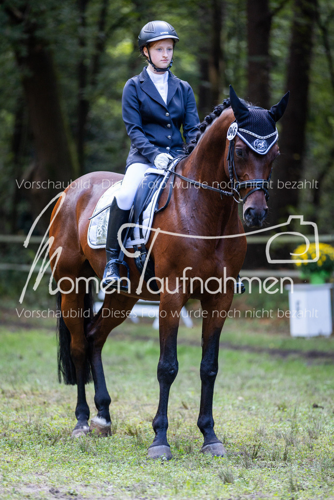 HB-Dressur-WB-104 | MomenTaufnahmen Pferdesportfotos