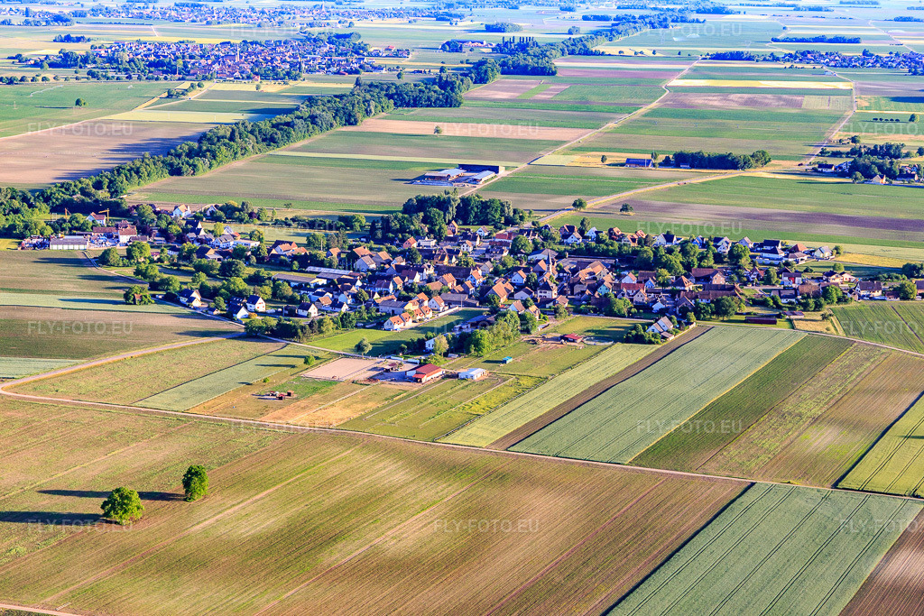 Vue aérienne: Vue du village depuis le nord à Schwobsheim dans le département Bas Rhin, France. Photo: IMG_147360.jpg prise le 29/05/2025 par Werner Riehm/FLY-FOTO.eu – Résolution de l'original: 5472 x 3648 px