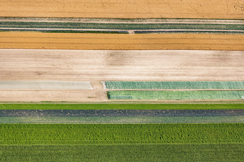 dr__0010851.jpg | EICHENRIED 13.07.2018 Streifen- und Reihen- Strukturen auf landwirtschaftlichen Feldern in Eichenried im Bundesland Bayern, Deutschland. // Structures on agricultural fields in Eichenried in the state Bavaria, Germany. Foto: Daniel Reiter