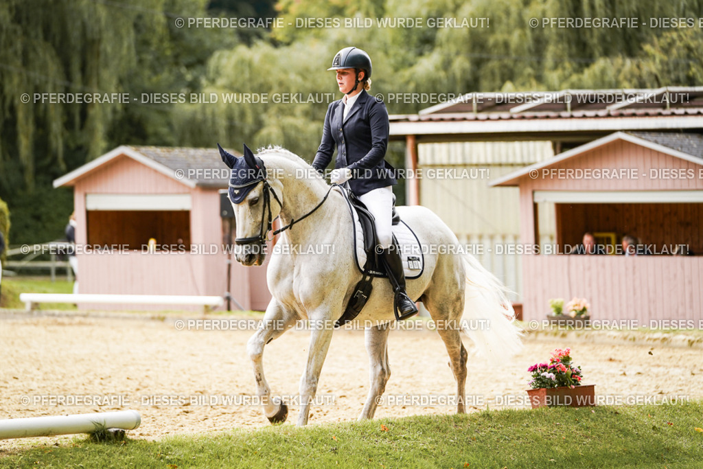 DSC02620 | Pferdegrafie