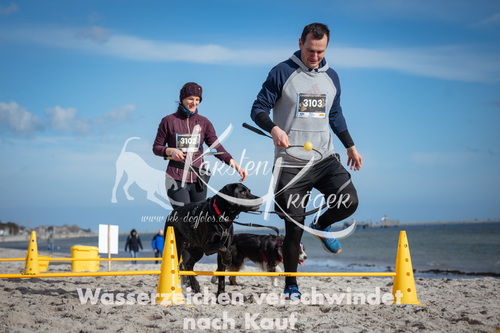 1323_ZZ91543 | kk-dogfotos
