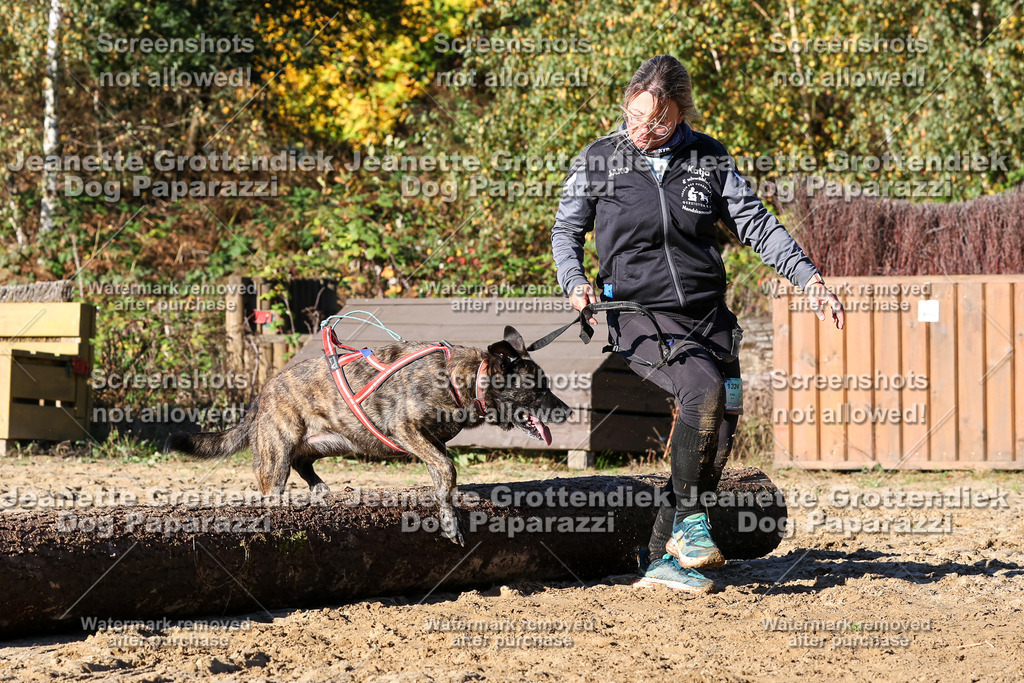 Dog Paparazzi - Strongdog 10-25-1698 | Dog Paparazzi Jeanette Grottendiek Fotografie & Videografie - Realisiert mit Pictrs.com