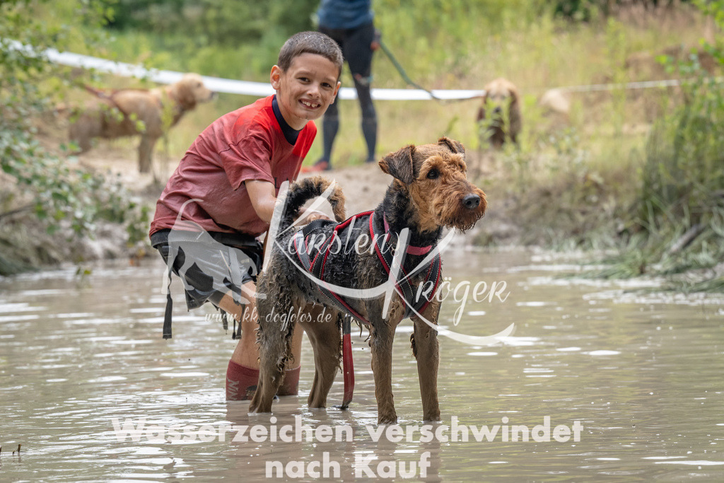 1453_ZZ94183 | kk-dogfotos