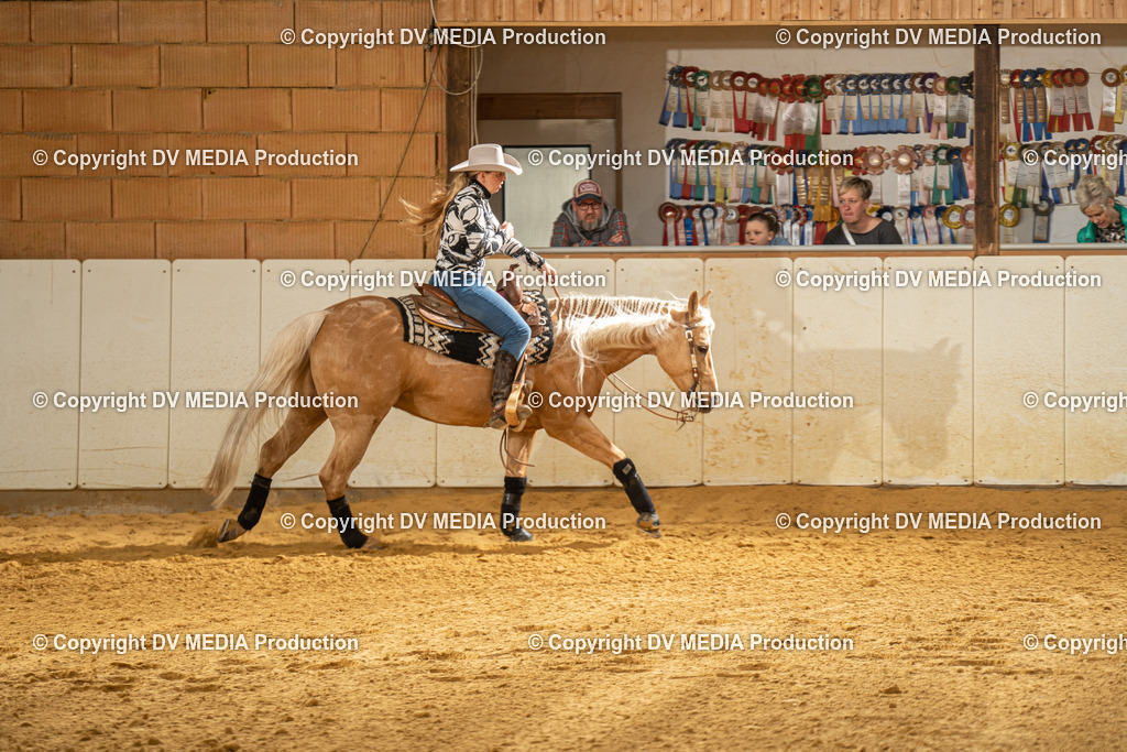 MIT01070 | dv-media-shop - Realisiert mit Pictrs.com