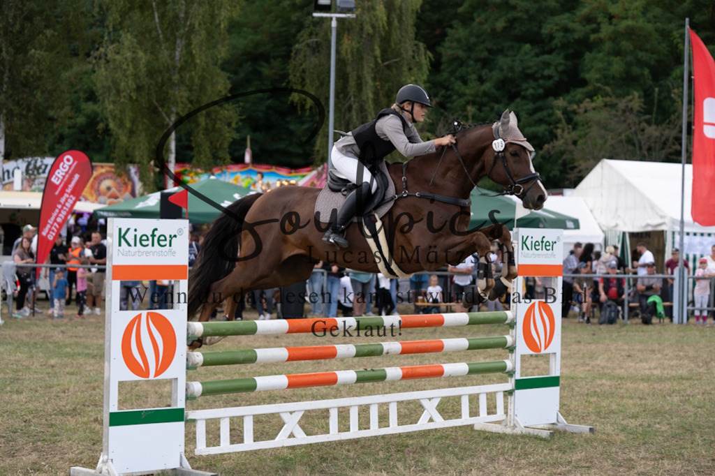 A7V09478 | Pferdefotograf