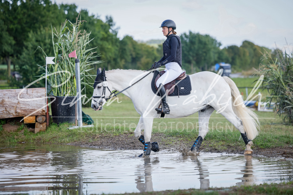 20250905-_3LI0339 | Tierfotografie Pferde, Hunde, Katzen, Haustiere.
Turnierfotografie Reitturniere, Reiten, Springreiten, Dressur in Hanau, dem Main-Kinzig-Kreis und dem Rhein-Main- Gebiet um Frankfurt