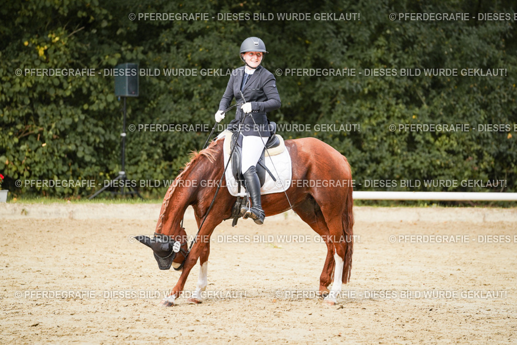 DSC03889 | Pferdegrafie