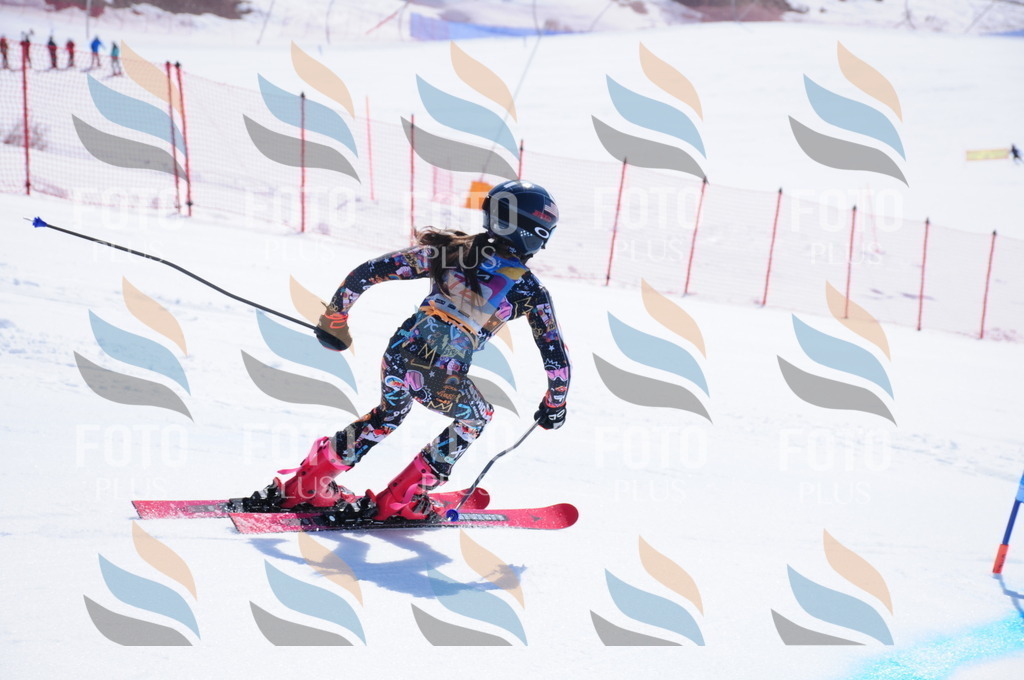 DSC_4444 | holidayphoto