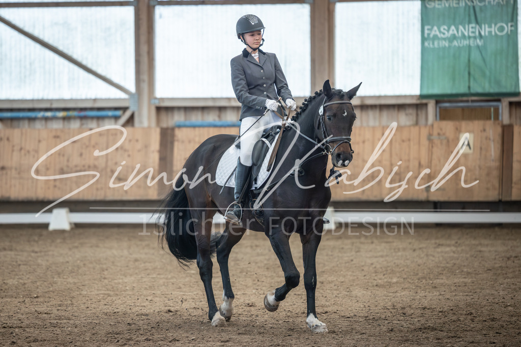 20251011-_3LI7774 | Tierfotografie Pferde, Hunde, Katzen, Haustiere.
Turnierfotografie Reitturniere, Reiten, Springreiten, Dressur in Hanau, dem Main-Kinzig-Kreis und dem Rhein-Main- Gebiet um Frankfurt