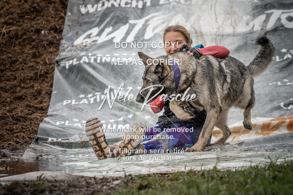 nelerasche_Wingst_Sa1300-1330_384 | nelerasche