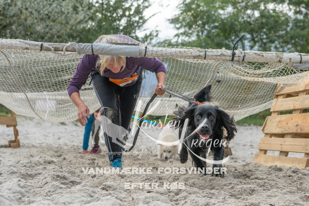 1137_ZZ98349 | kk-dogfotos