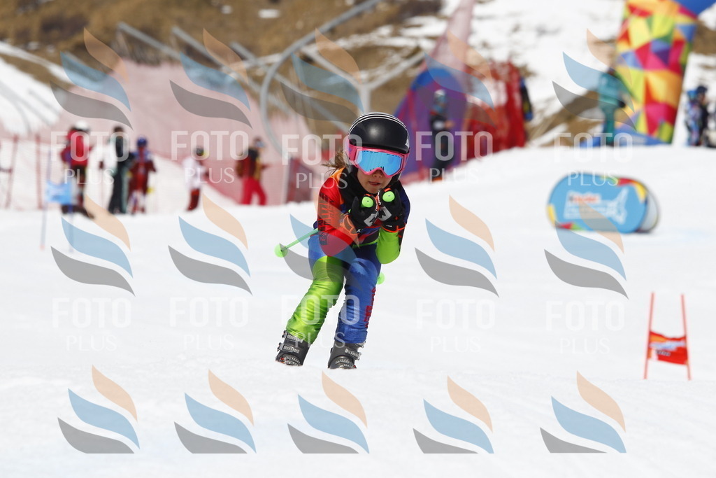 _U3G8021 | holidayphoto