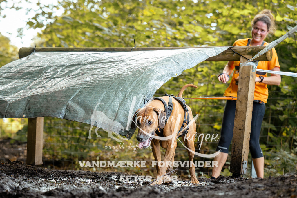 1415DZ6_1314Z6 | kk-dogfotos