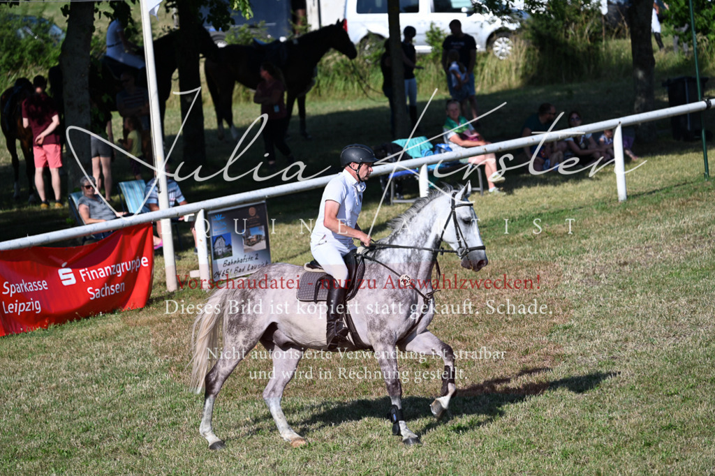 DSC_2573 | Pferde- und Turnierfotografie in Westsachsen. Pferdeportraits, Auftragszeichnungen und intuitive Kunst.