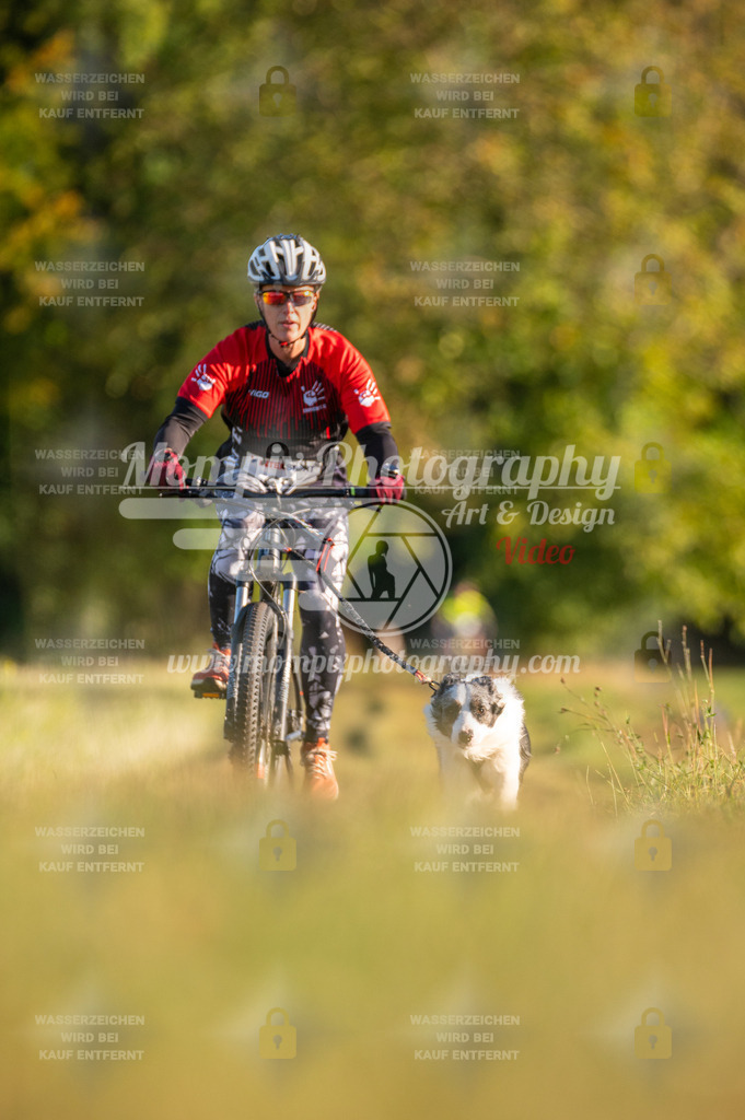 CDLBDB_15_10_2023_Dimanche-131 | PayLife