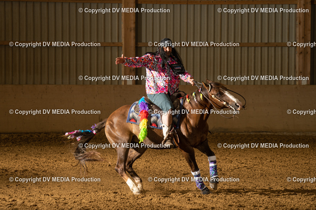 LAU01227 | dv-media-shop - Realisiert mit Pictrs.com