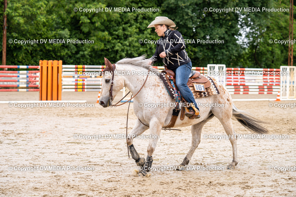 Zeiskam Tag 1-321 | dv-media-shop - Realisiert mit Pictrs.com