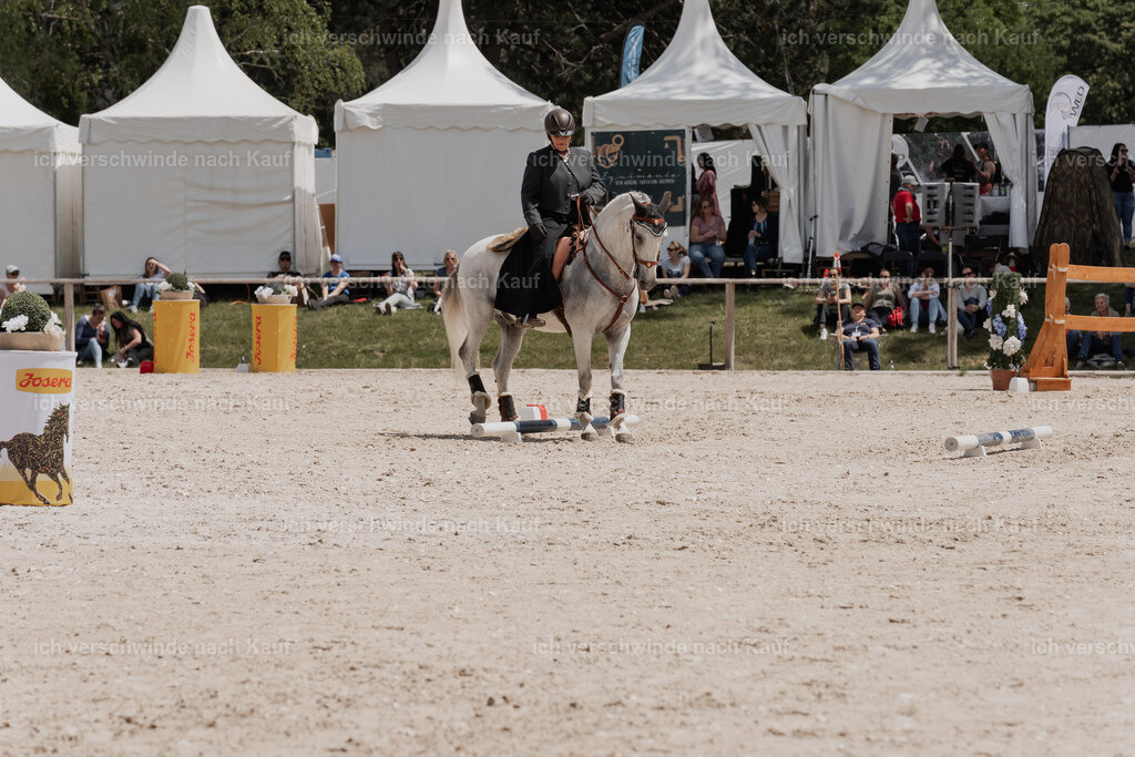 WE_ST_Stoib_321_PI2025_1152 | Pferd International München 2025