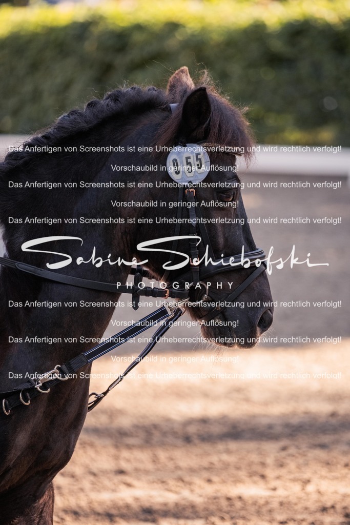 2025_05_31_DSCF2887 | People- und Tierfotografie, Imageaufnahmen, Veranstaltungsfotografie und Wandbilder aus der Natur ★ Made in Germany ✔️ Druck + Downloads ✔️ Naturfotografie in Top Qualität ★ schneller Versand, weltweite Lieferung! - Realisiert mit Pictrs.com