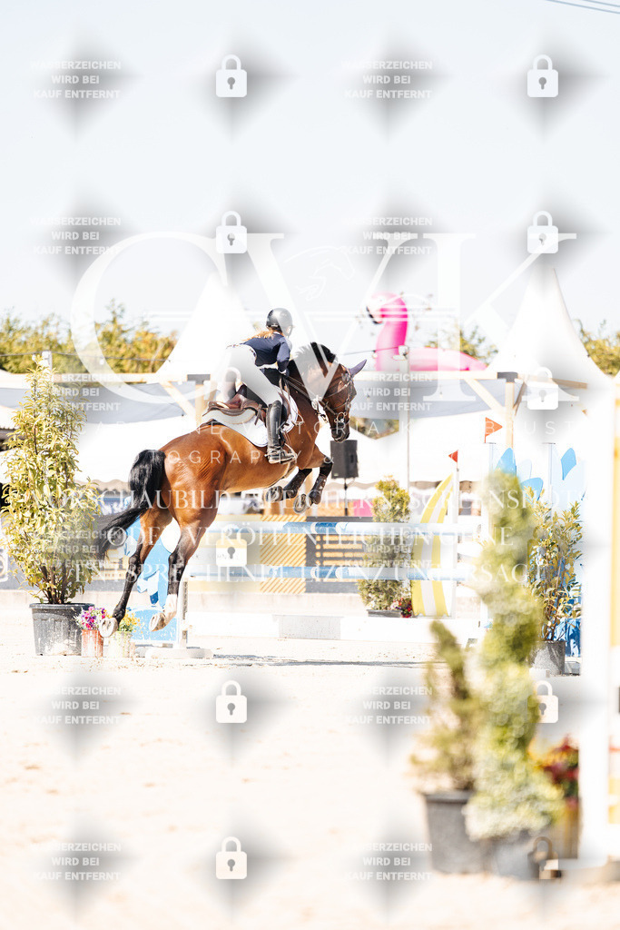CK909565 | Turnierfotografie Pferdefotografie Trier Rheinland-Pfalz Pferdesport Reitsport Tierfotografie Sportfotografie Pferdevideo Pferdevideografie Equestrianvideography equestrianphotography  - Realisiert mit Pictrs.com