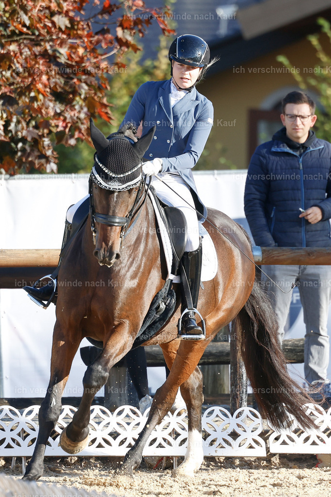09_1-200-DRESSUR  S_  -StoibPH-5527 | working equitationturnier fotograf videograf stoibphotography marixx film working equitation deutschland reitsport turnierfotografie eventfotografie equestrian events
