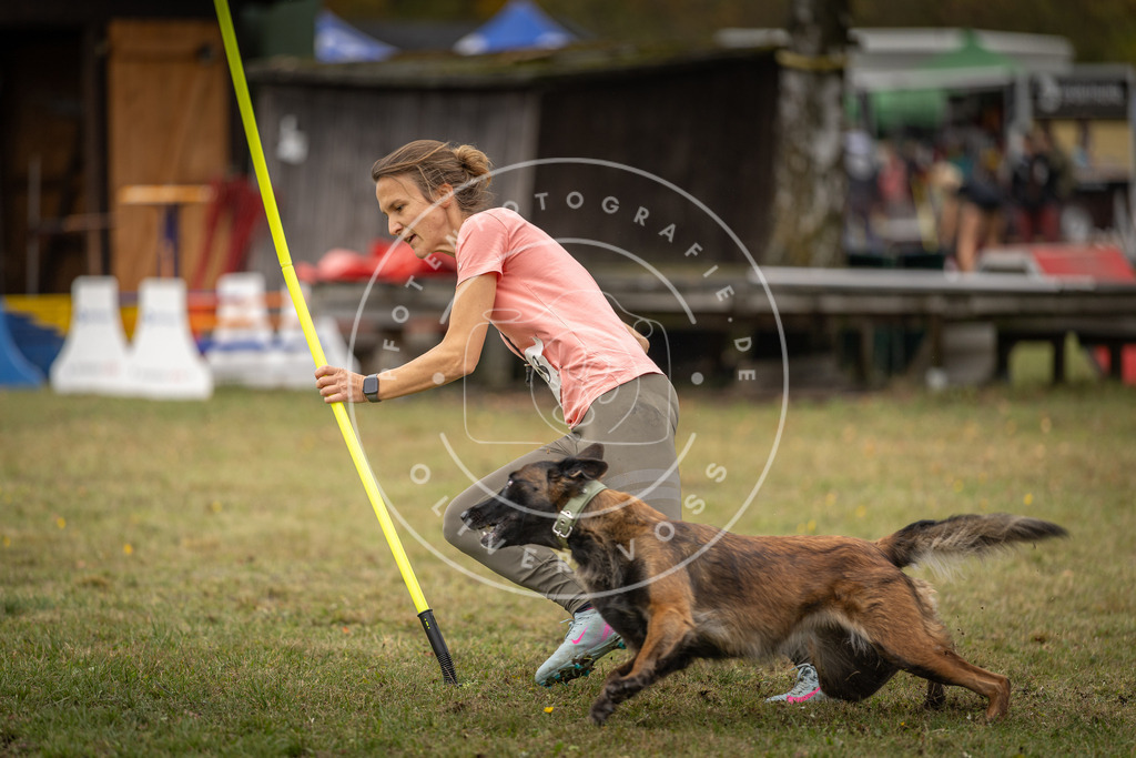 Pfotenfotografie_DV3A7359 | Hundefotografie, Tierfotograf, Pfotenfotografie, Fotoshooting Hund, Hunde Portrait, Hundesport, Hundeportraits, Heideshooting, Hunde, Sportfotograf, Hundefotograf, Turnierhundsport, THS,  - Realisiert mit Pictrs.com