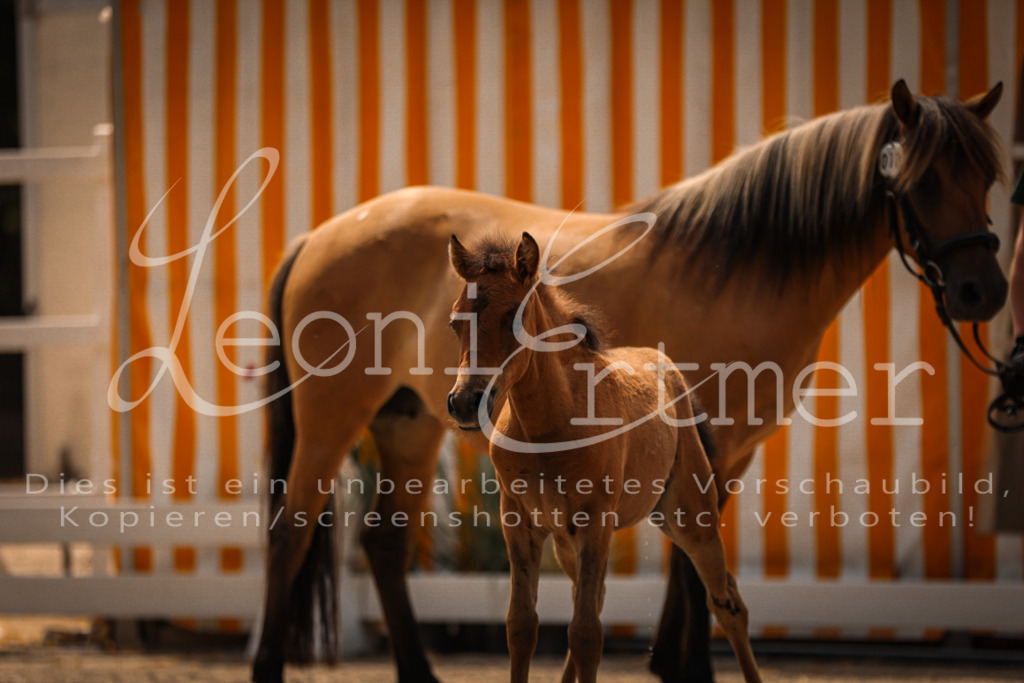 02.DoSR00090 | Leoni Ertmer Photography - Realisiert mit Pictrs.com