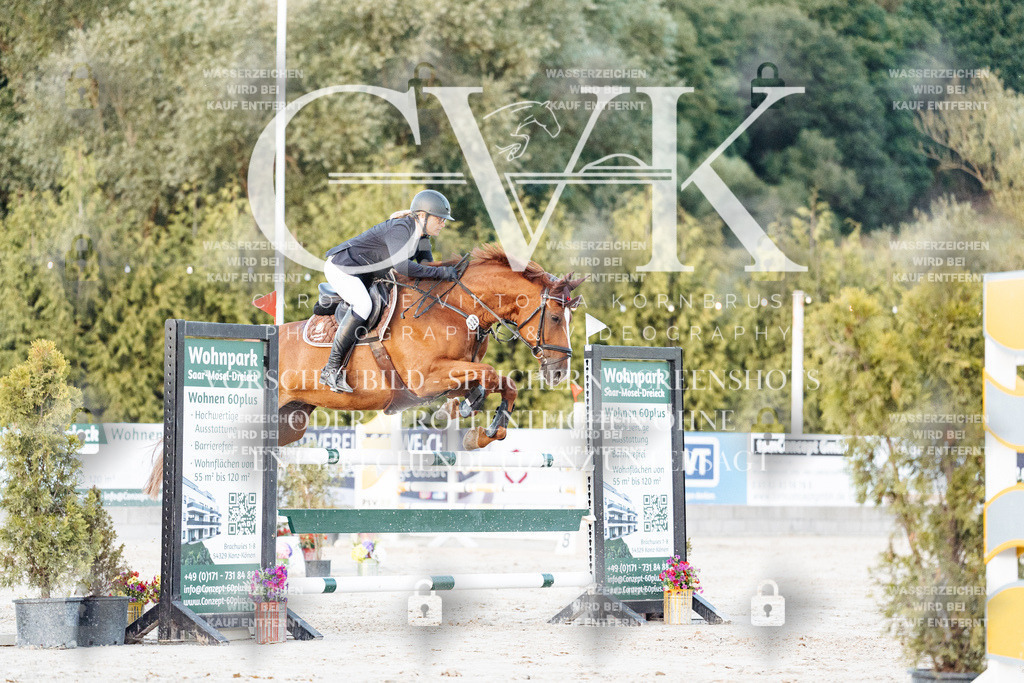 CK901504 | Turnierfotografie Pferdefotografie Trier Rheinland-Pfalz Pferdesport Reitsport Tierfotografie Sportfotografie Pferdevideo Pferdevideografie Equestrianvideography equestrianphotography  - Realisiert mit Pictrs.com