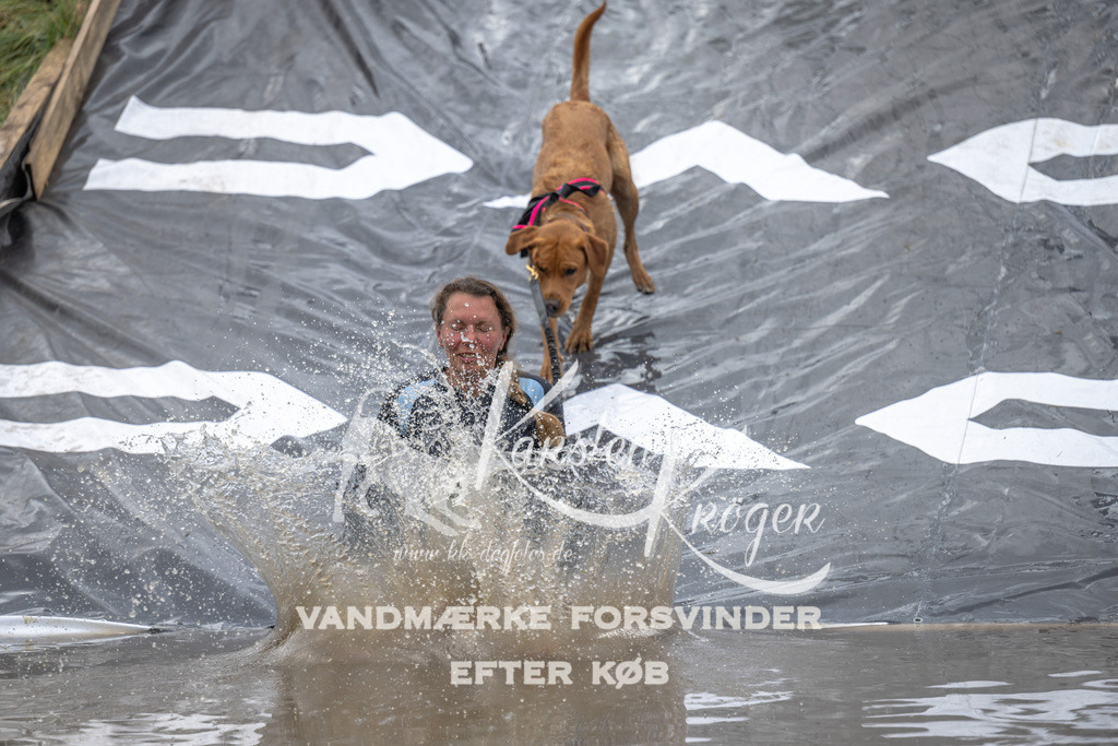 1529_ZZ93769 | kk-dogfotos