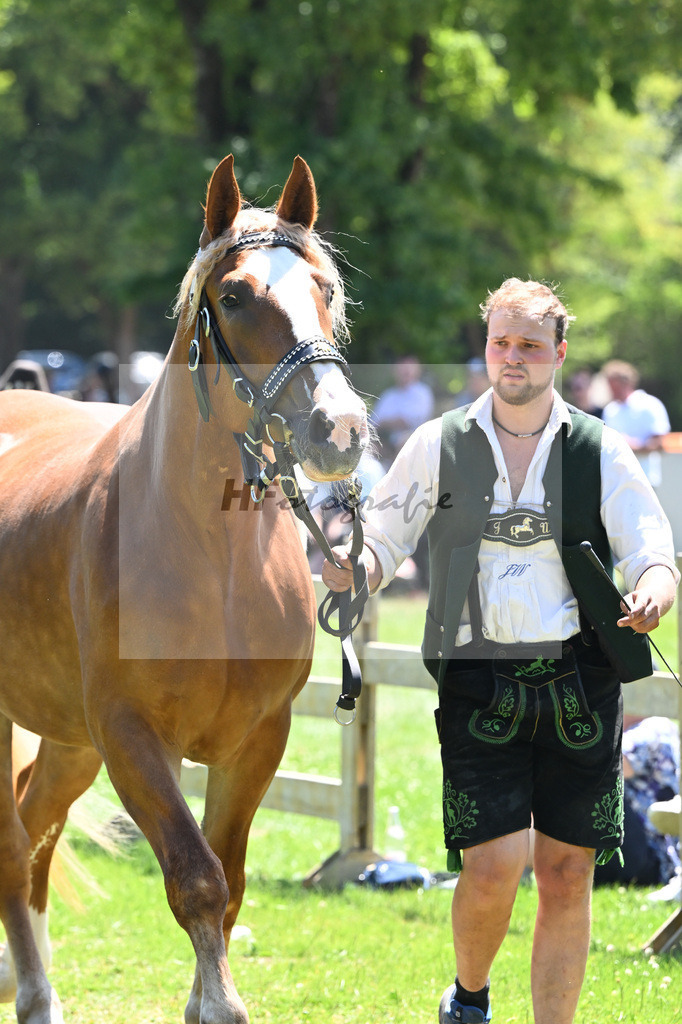 Kat-Nr. 61 Prestige v. Rivero_Schroeder_18251042 | hf-fotografie - Realizzato con Pictrs.com