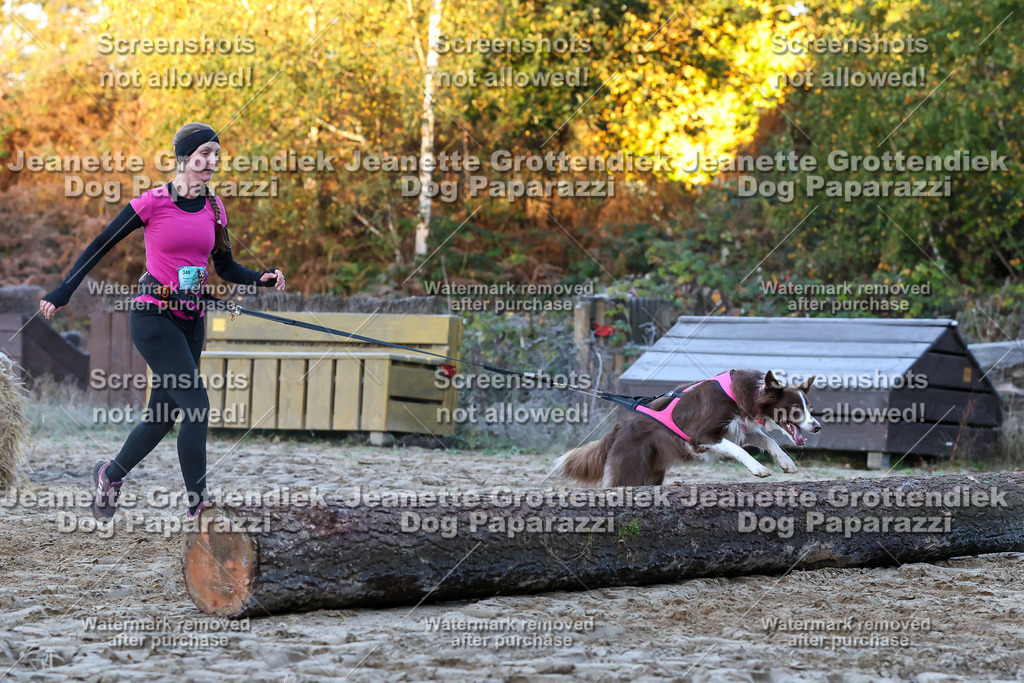 Dog Paparazzi - Strongdog 10-25-377 | Dog Paparazzi Jeanette Grottendiek Fotografie & Videografie - Realisiert mit Pictrs.com