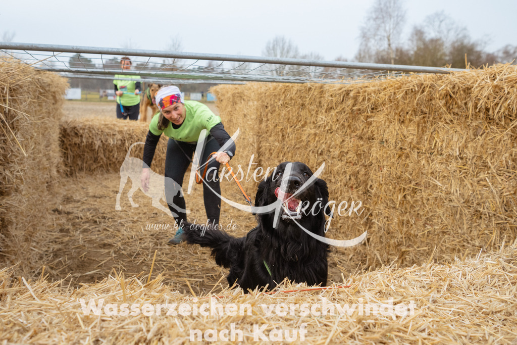 0849_ZZ94973 | kk-dogfotos