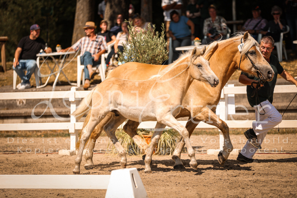 06.DoH00106 | Leoni Ertmer Photography - Realisiert mit Pictrs.com