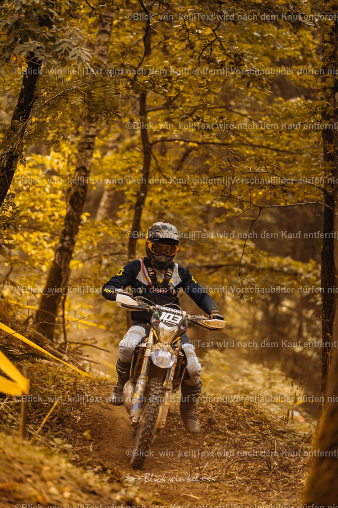 E68A3962 | blick_win_kel