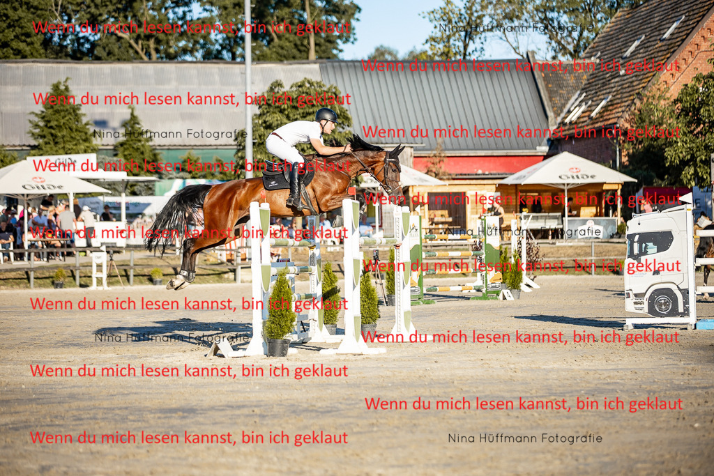 BK1A8509 | Turnierbilder Turnierfotos Nina Hüffmann Turnierfotografie Pferdefotografie Tierzeichnung Haustierzeichnung Pferdezeichnung Hundezeichnung Videograf  - Realisiert mit Pictrs.com