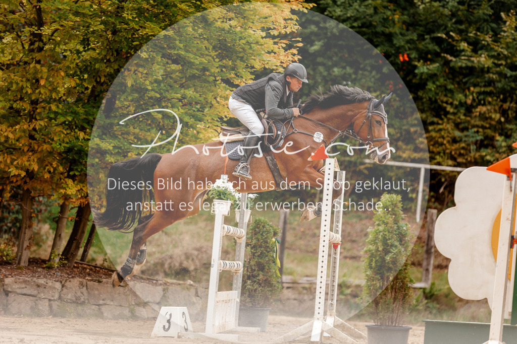 3I6A8255 | Stimmungsvolle Portraits und Reitsportfotografie im Ruhrgebiet und im Münsterland.

Pferdefotografie, Hundefotografie, Tierfotografie, Reportagen, Portraits von Tier und Mensch, Turnierfotografie in Bochum, Recklinghausen, Marl, Haltern am See, Dülmen.. - Realisiert mit Pictrs.com