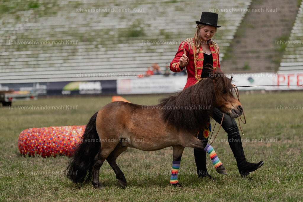 Showprogramm-223 | working equitationturnier fotograf videograf stoibphotography marixx film working equitation deutschland reitsport turnierfotografie eventfotografie equestrian events