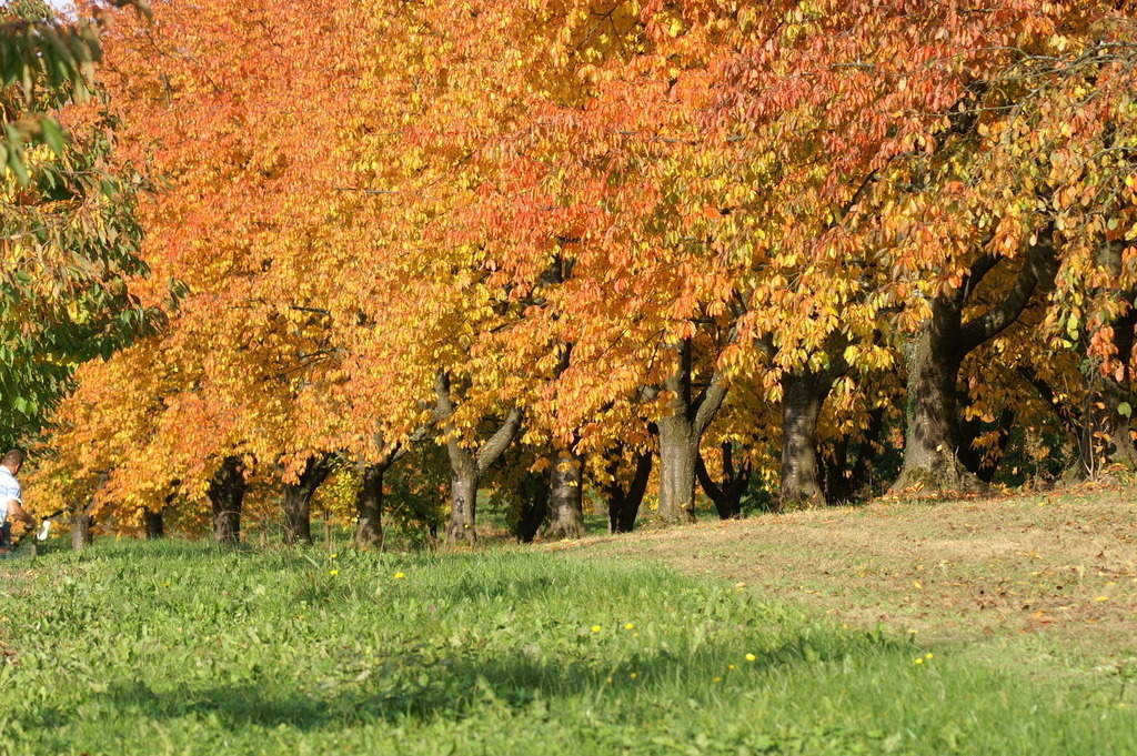 PICT0401 | klausulrichmoeller