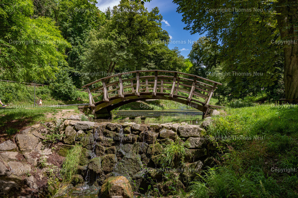 DSC_1872 | Der Staatspark Fürstenlager in Bensheim Auerbach, an der hessischen Bergstraße- ist ein wunderschöner Landschaftspark nach englischen Vorbild. Es war die Sommerresidenz der Darmstädter Fürstenfamilie die hier das "einfache Landleben" genossen. Zu jeder Jahreszeit kann man das Fürstenlager als Ausflugsziel empfehlen. Im Herrenhaus ist eine Gastronomie untergebracht. Im Sommer findet auf der Bühne vor der großen Wiese ein Opern-Air statt, 