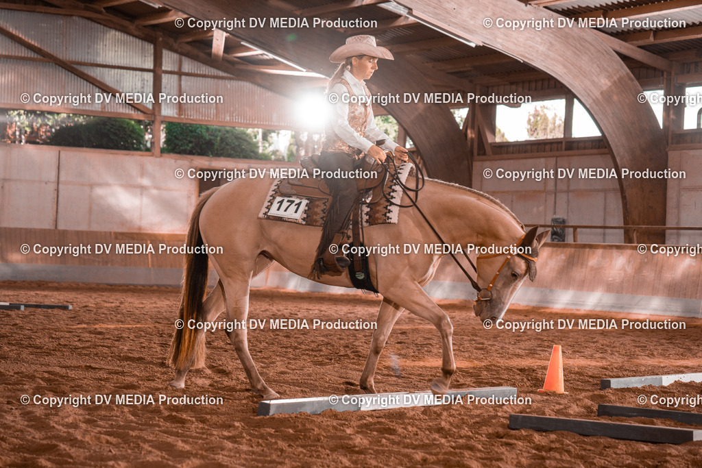 NE200123 | dv-media-shop - Realisiert mit Pictrs.com