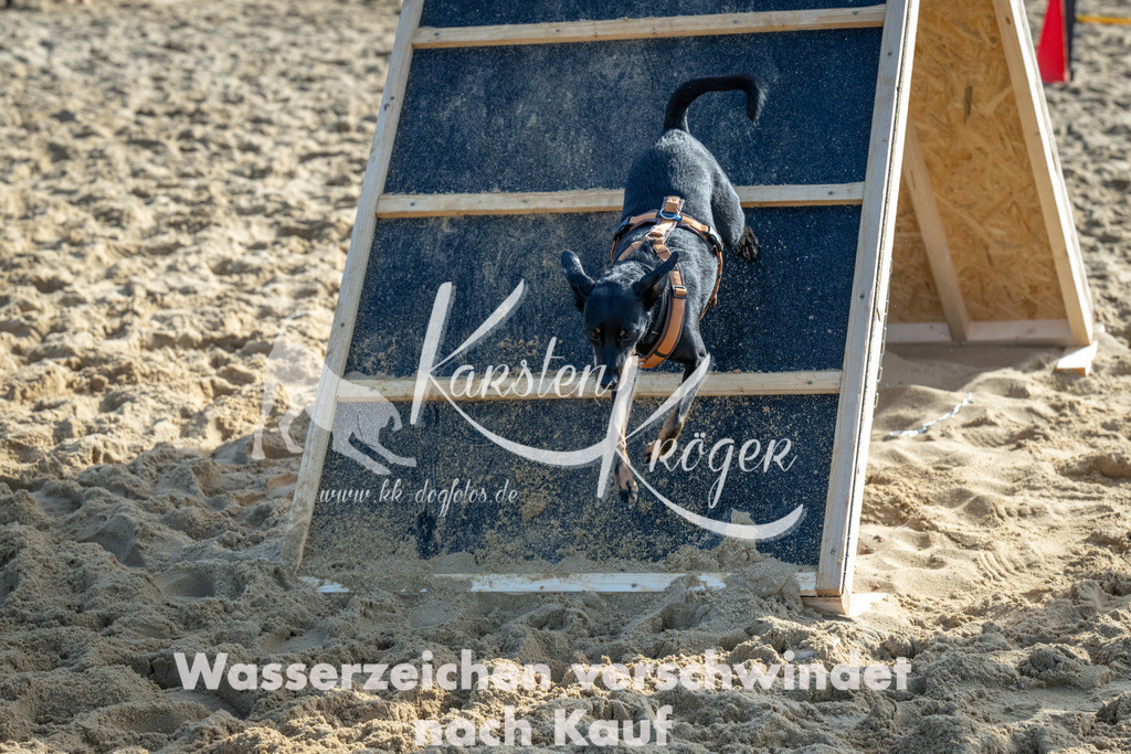 1109_ZZ90509 | kk-dogfotos