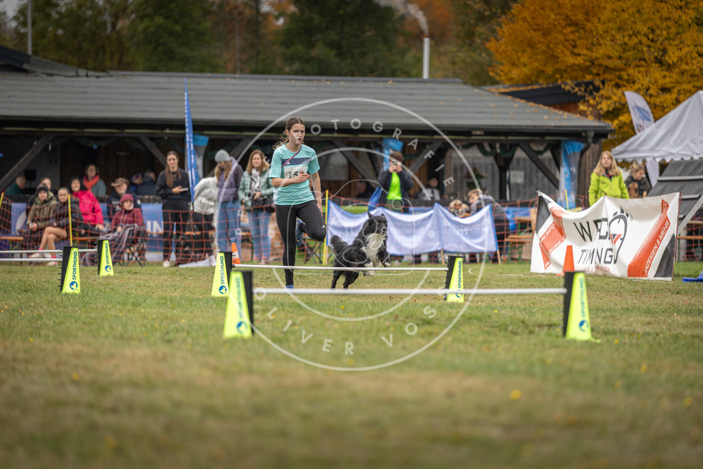 Pfotenfotografie_DV3A4854 | Hundefotografie, Tierfotograf, Pfotenfotografie, Fotoshooting Hund, Hunde Portrait, Hundesport, Hundeportraits, Heideshooting, Hunde, Sportfotograf, Hundefotograf, Turnierhundsport, THS,  - Realisiert mit Pictrs.com