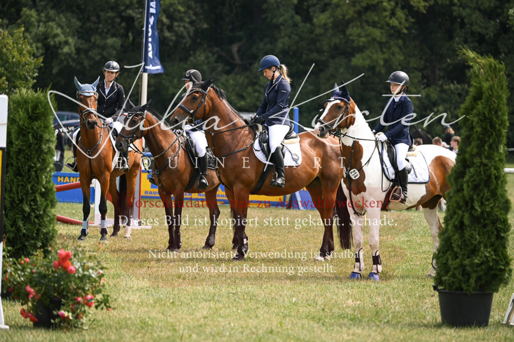 DSC_9170 | Pferde- und Turnierfotografie in Westsachsen. Pferdeportraits, Auftragszeichnungen und intuitive Kunst.