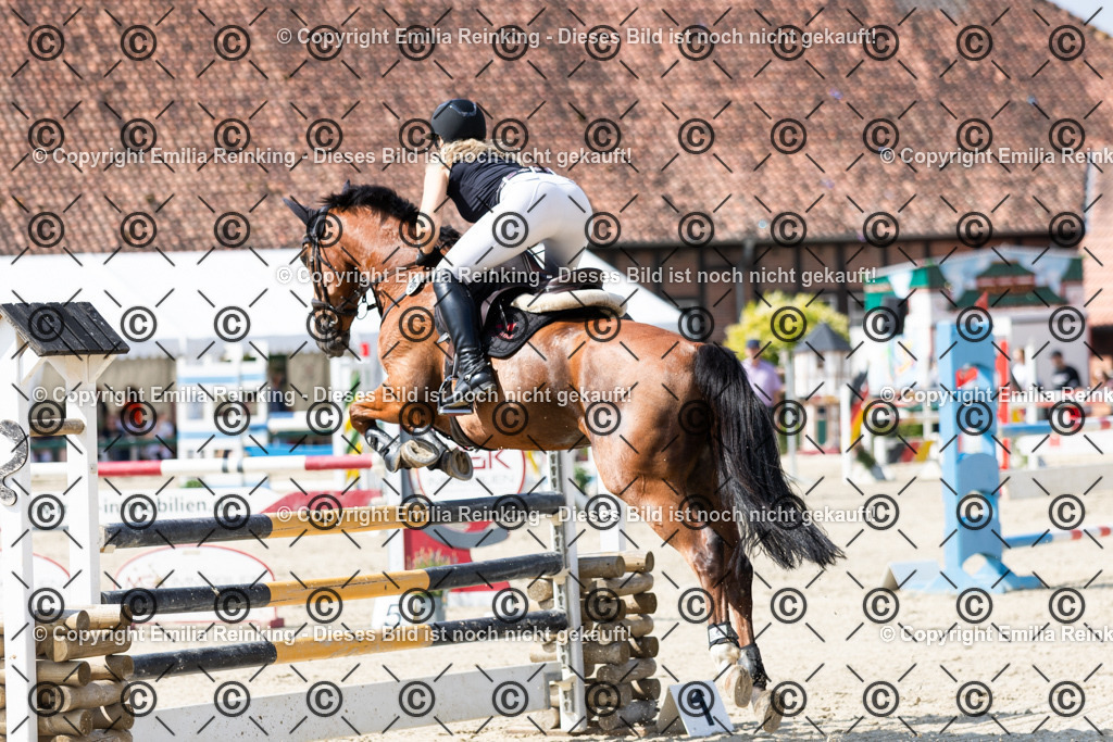 CL5A8500 | Emilia Reinking Fotografie - Realisiert mit Pictrs.com