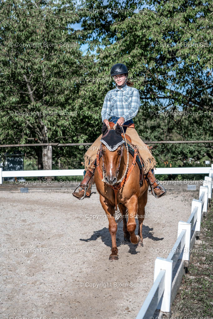HOB09526 | BS-foto