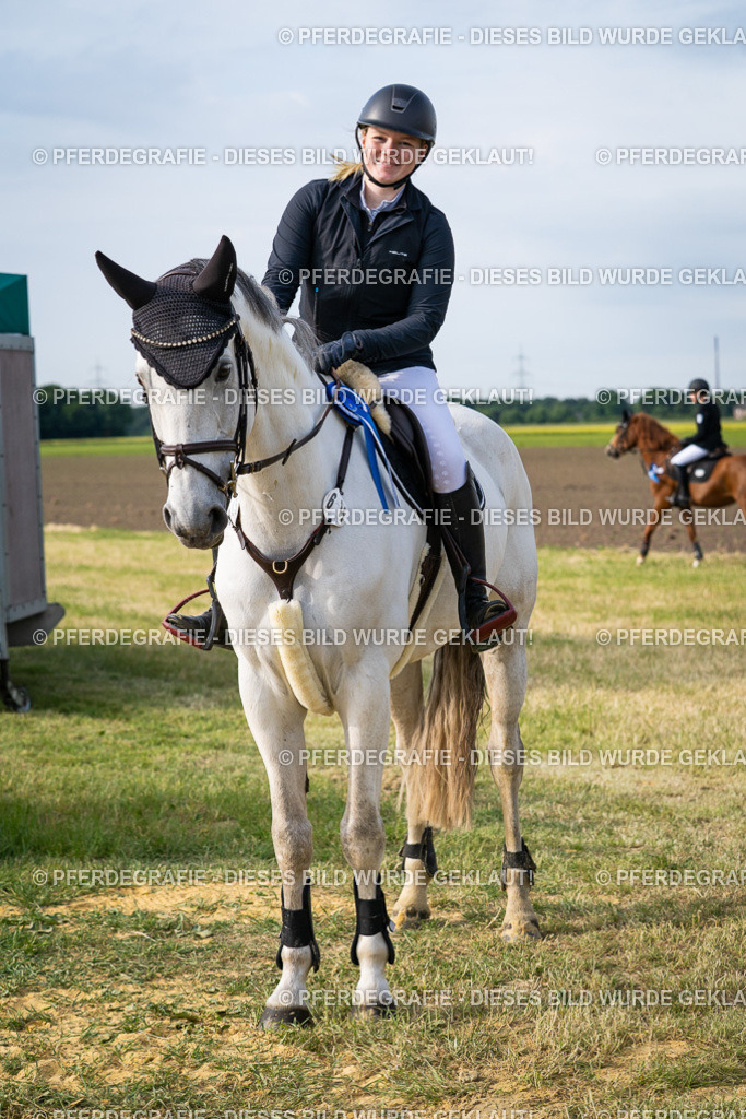 DSC03097 | Pferdegrafie