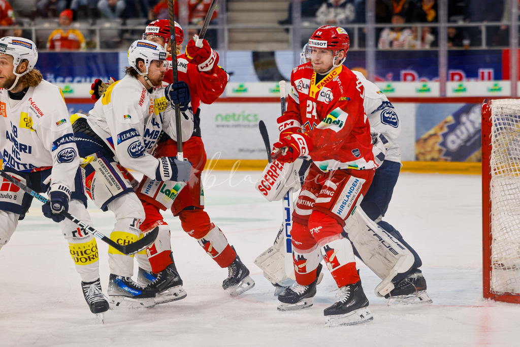 EHCB vs HCAP 20260115_wb-4323 | Sportbilder, Sportfotograf, Hochzeits- und Eventfotografin, Flugshows, Portraits und Tiershooting, Aviation, Downhill, Nationalleague, Swissleague, International