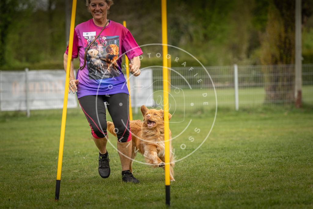Pfotenfotografie_DV3A7604 | Hundefotografie, Tierfotograf, Pfotenfotografie, Fotoshooting Hund, Hunde Portrait, Hundesport, Hundeportraits, Heideshooting, Hunde, Sportfotograf, Hundefotograf, Turnierhundsport, THS,  - Realisiert mit Pictrs.com